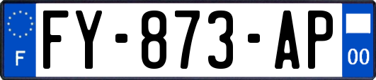 FY-873-AP
