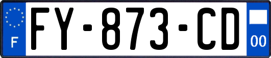 FY-873-CD
