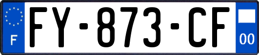 FY-873-CF