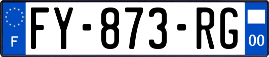 FY-873-RG