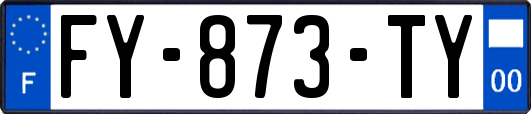 FY-873-TY