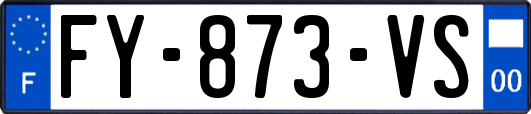 FY-873-VS