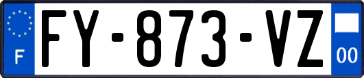 FY-873-VZ