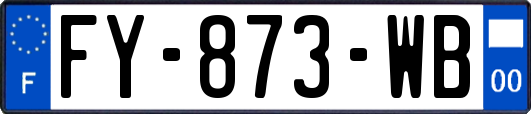 FY-873-WB