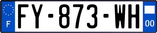 FY-873-WH