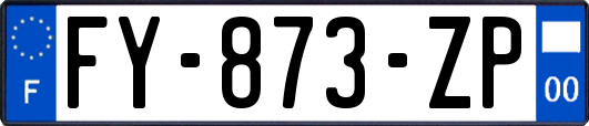 FY-873-ZP