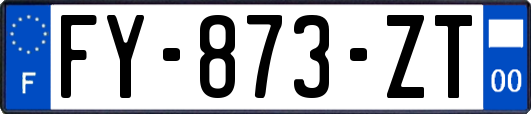 FY-873-ZT