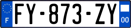 FY-873-ZY