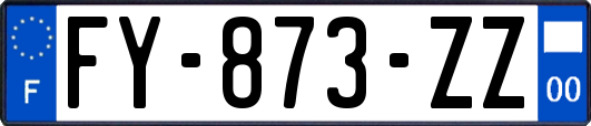FY-873-ZZ