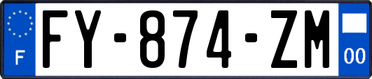 FY-874-ZM