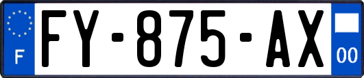 FY-875-AX