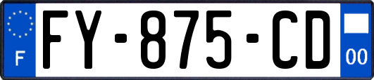 FY-875-CD