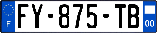 FY-875-TB