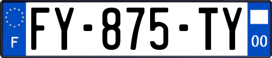 FY-875-TY