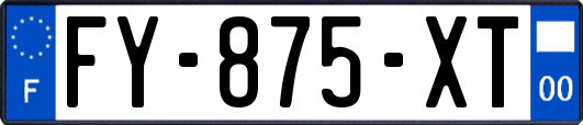 FY-875-XT