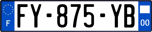FY-875-YB