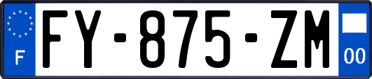 FY-875-ZM
