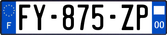 FY-875-ZP