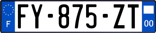 FY-875-ZT