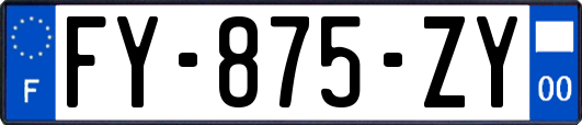 FY-875-ZY