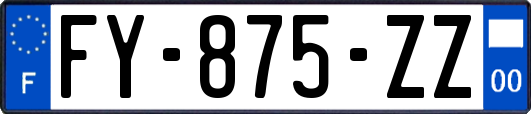 FY-875-ZZ