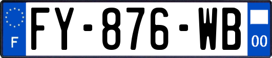 FY-876-WB