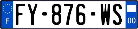 FY-876-WS