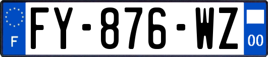 FY-876-WZ