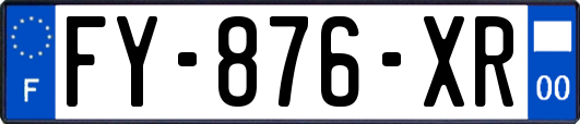 FY-876-XR