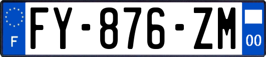 FY-876-ZM