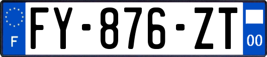 FY-876-ZT