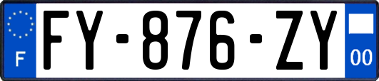 FY-876-ZY