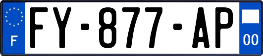FY-877-AP