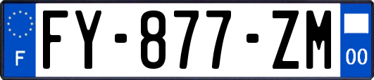 FY-877-ZM