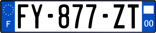 FY-877-ZT