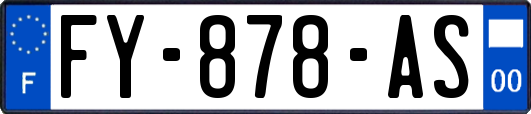 FY-878-AS