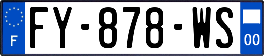 FY-878-WS