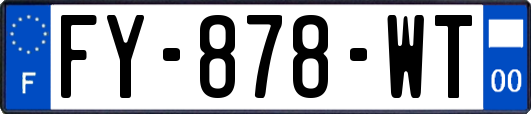 FY-878-WT