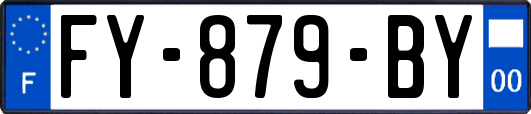 FY-879-BY