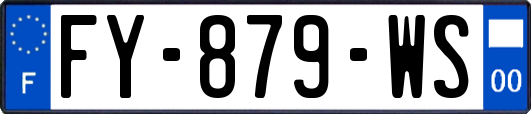 FY-879-WS