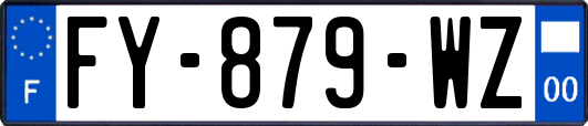 FY-879-WZ