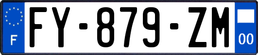 FY-879-ZM