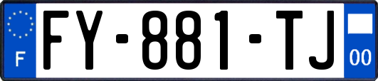 FY-881-TJ