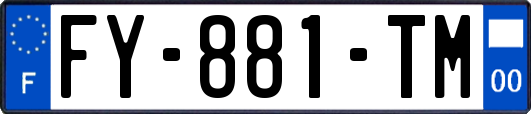 FY-881-TM
