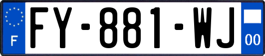 FY-881-WJ