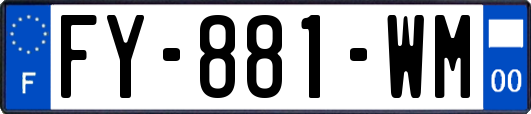 FY-881-WM