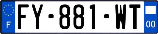 FY-881-WT