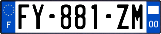 FY-881-ZM