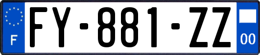 FY-881-ZZ