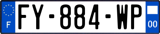 FY-884-WP